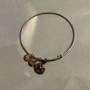 Alex and Ani Gold Sand Dollar Charm Bangle with small stone accent